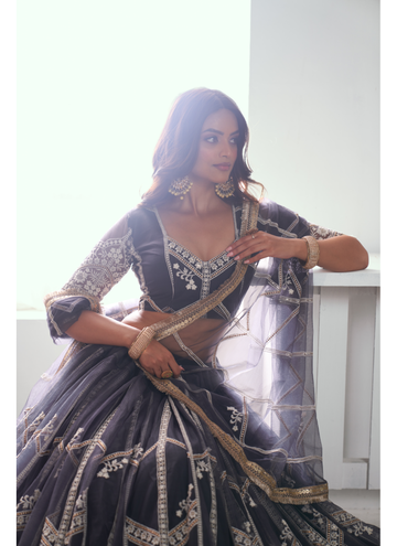 Trendy Party wear Charcol gray net Lehenga with designer blouse.